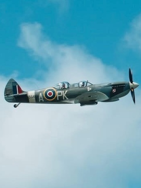 WhatsApp Image 2025-11-25 at 4.49.40 PM (1)